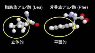 第1回 アミノ酸の種類 [upl. by Zaslow779]