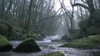 Ghost caught on camera in daylight on a Scottish river [upl. by Casi]