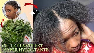 MASQUE HYPER HYDRATANT 💦👌 CHEVEUX CRÉPUS Pas Cher 💵  KELEN KELEN  MLOUKHIA [upl. by Dario379]