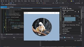 How to make rounded picturebox in visual studio windows form application 2019 [upl. by Iridis114]