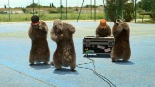 Marmottes de france 3 [upl. by Alvinia]