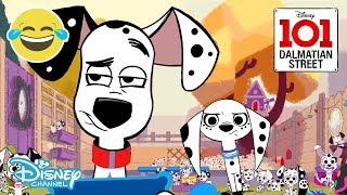 101 Dalmatian Street  Dancing  Animals vs Humans  Disney Channel UK [upl. by Hodge]