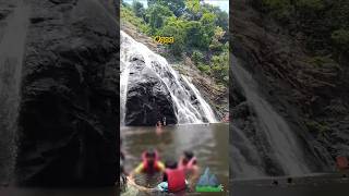 goa shortvideo 😲🌴 naturalbeauty viralshort [upl. by Aimal]