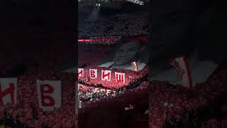 Crvena Zvezda  Partizan Delije Fans Choreo for Marko Ivković [upl. by Akaya]