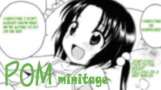 mini pomtage [upl. by Orin]