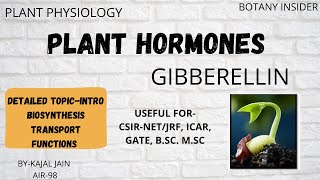 Plant Hormone  Gibberellin  Intro  Biosynthesis Transport Signalling  CSIRNET JRF GATE [upl. by Ninetta]