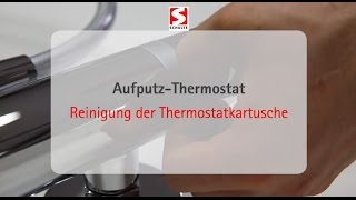 Reinigung einer Thermostatkartusche von Schulte [upl. by Aneeram]