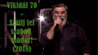 Szállj fel szabad madár  Vikidál Gyula 2018  Vikidál 70 Arénakoncert [upl. by Alin]