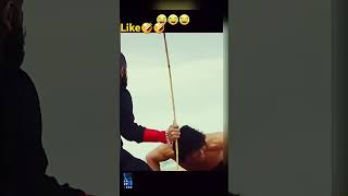 Tiger shop funny video stick and cutter like comment share subscribe please [upl. by Ahsak94]