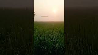 Chal waha jate hai with Nature by MotivationwithNature shorts nature trending [upl. by Layod450]