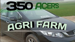 Lexus IS200 In GTA V  Felt Spec Agri Spec Port Car Scene [upl. by Shafer229]