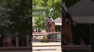 Eskadron czy kentucky🙈🤍🥸💞kentucky equestrian horse eskadron [upl. by Yllor]