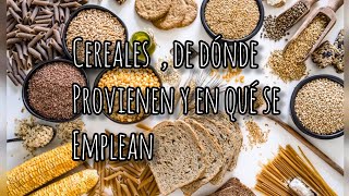 cereales conoce  cuántos tipos hay  de dónde provienen y en qué se emplean [upl. by Philipines]