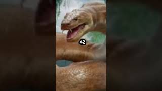 The largest snake to ever live shorts dearearth animals facts [upl. by Finnigan]