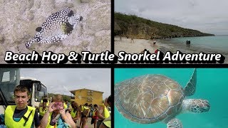 Beach Hop and Turtle Snorkel  Curacao [upl. by Nicolais]