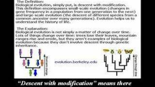 6th Foundational Falsehood of Creationism [upl. by Nylhsoj221]