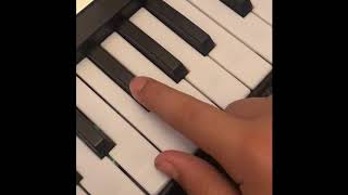 How To Play Bongo Cat LET’S GO On Piano [upl. by Annabal]