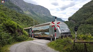 Planovergang Flaam  Blomheller 1372024 Norwegian railroad crossing4K [upl. by Eluk]