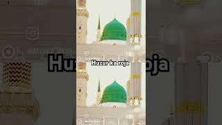 Madina and mackha huzur ka roja short video tranding❤️❤️ [upl. by Duer]