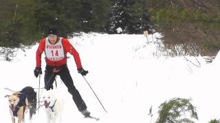 2011  3 Bear Sled Dog Race Skijoring [upl. by Buskirk995]