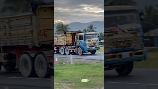 Hyundai Truck Trailer driving on the road heavytruck truckdriver jcbvideo trucking jcbvideo [upl. by Aamsa]