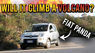 NEW Fiat Panda Hybrid  Is it any good [upl. by Eciram]