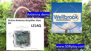 SDRplay comparison of LZ1AQ and Wellbrook loop antennas [upl. by Ileek679]