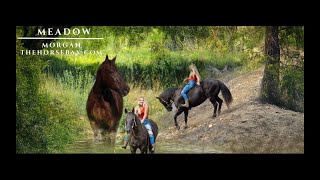 quotMeet Meadowquot Chestnut Morgan Mare For Sale RanchTrailYouth [upl. by Erdried330]