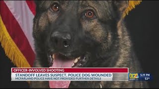 OfficerInvolved Shooting in McFarland police canine and suspect in stable condition [upl. by Oelgnaed]