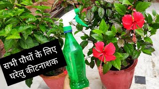 सभी पौधों के लिए फ्री आर्गेनिक insecticide घरेलु कीटनाशक homemade insecticide n pesticides [upl. by Corine]