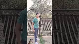 Dog si baga or dog ki pass ponch giya👈🏻🤣 dog pitbull doglover funny [upl. by Nickolai]