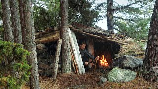 🌧️Camping in RELAXING RAIN My Cozy Bushcraft Shelter on an Island Rain Sounds ASMR [upl. by Muire780]