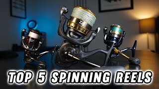 The Top 5 Spinning Reels Under 250 2024 Buying Guide [upl. by Uok]