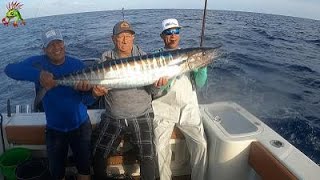 Wahoo fishing Anguila Cays Cay Sal Bahamas [upl. by Atiuqehc799]