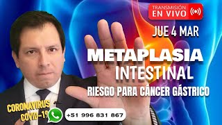 HABLANDO SOBRE EL CÁNCER GÁSTRICO METAPLASIA INTESTINAL [upl. by Krenn]