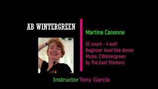 AB WINTERGREEN  MARTINE CANONNE  LINE DANCE DEMO [upl. by Quitt]