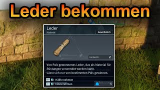 Palworld Leder bekommen  Leder farmen [upl. by Ignazio]