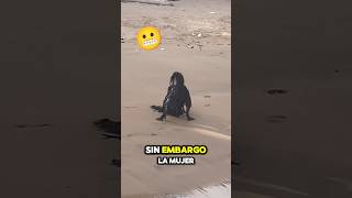 ¡No pudo creer lo que vio en la playa 😱 lostptyer  TT [upl. by Neeroc]