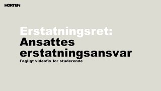 Erstatningsret Ansattes erstatningsansvar [upl. by Lavoie]