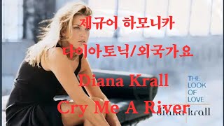 제규어 하모니카 연주 Diana KrallCry Me A River원곡 Julie London [upl. by Rabkin]