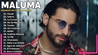 MALUMA HAWAI  Maluma Mix Exitos 2024 [upl. by Teplitz]