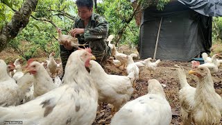 Ep67  Rice milling to visit the farm  Vung Building Life [upl. by Amek590]