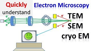 Electron microscope  TEM  SEM  Cryo EM [upl. by Wit]