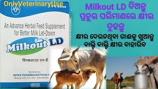 Milkout LD Bolus କ୍ଷୀର ଦିଏ ପ୍ରଚୁର An Advance Herbal Feed Supplement For Better Milk LetDown 🙏🐄🍼☕ [upl. by Aurthur549]