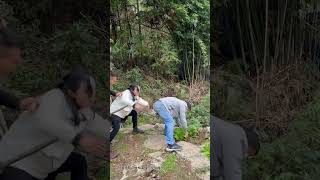 Funny videos in rural areas will make you laugh and forget your worries Funny Brother Tianlang Tea [upl. by Lynne]