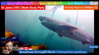 Dr Jaws LIVE 89 Broadnose Sevengill Shark Study Party [upl. by Hoashis]