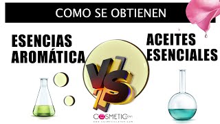 EXTRACCIÓN de ACEITES ESENCIALES ¿Cómo se obtienen las Esencias Aromáticas VS Aceites Esenciales [upl. by Gwyn]