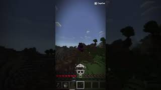 Faster then Flash 💀 minecraft Flash [upl. by Ennagem1]