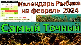 Календарь рыбака на Февраль 2024 Прогноз клева рыбы Лунный календарь рыболова Февраль 2024 [upl. by Sine155]