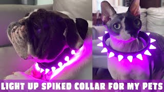 Spiked Dog Collars with LED Light  Keep Your Pets Visible amp Safe at Night [upl. by Airelav]